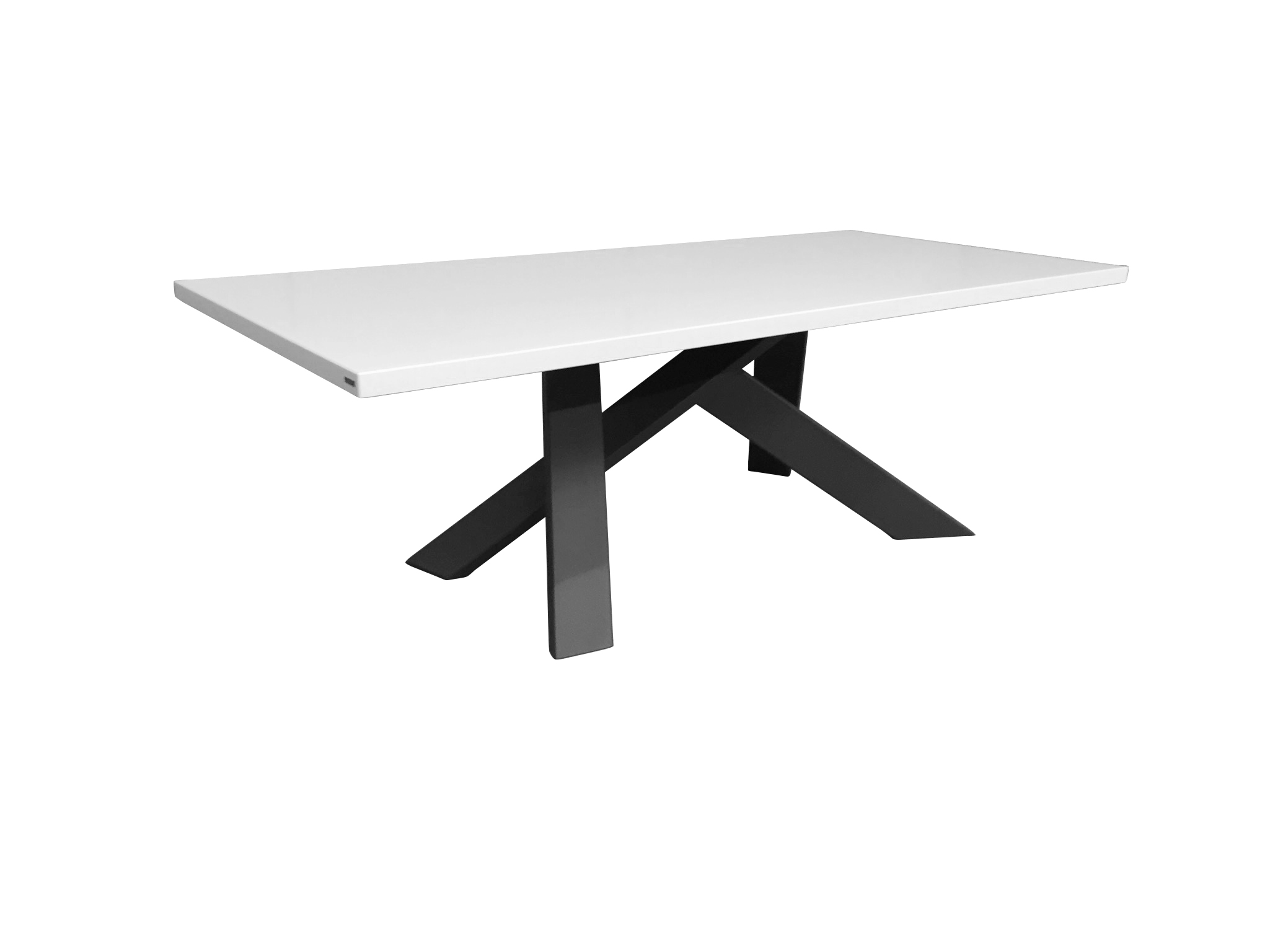 WISSMANN dining table  mikado art611